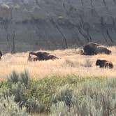 Review photo of Juniper Campground — Theodore Roosevelt National Park by David B., November 30, 2022