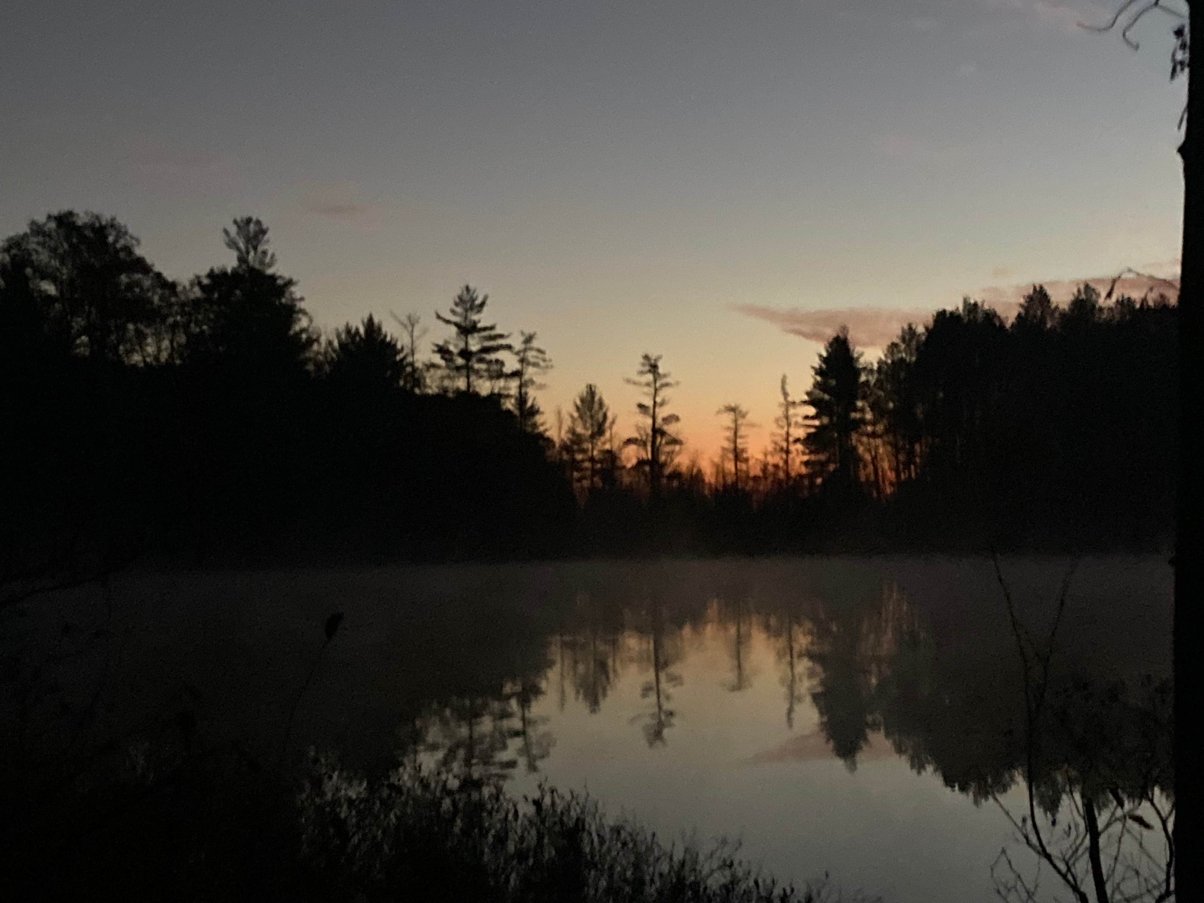 Camper submitted image from Spring Lake State Forest Campground - 2