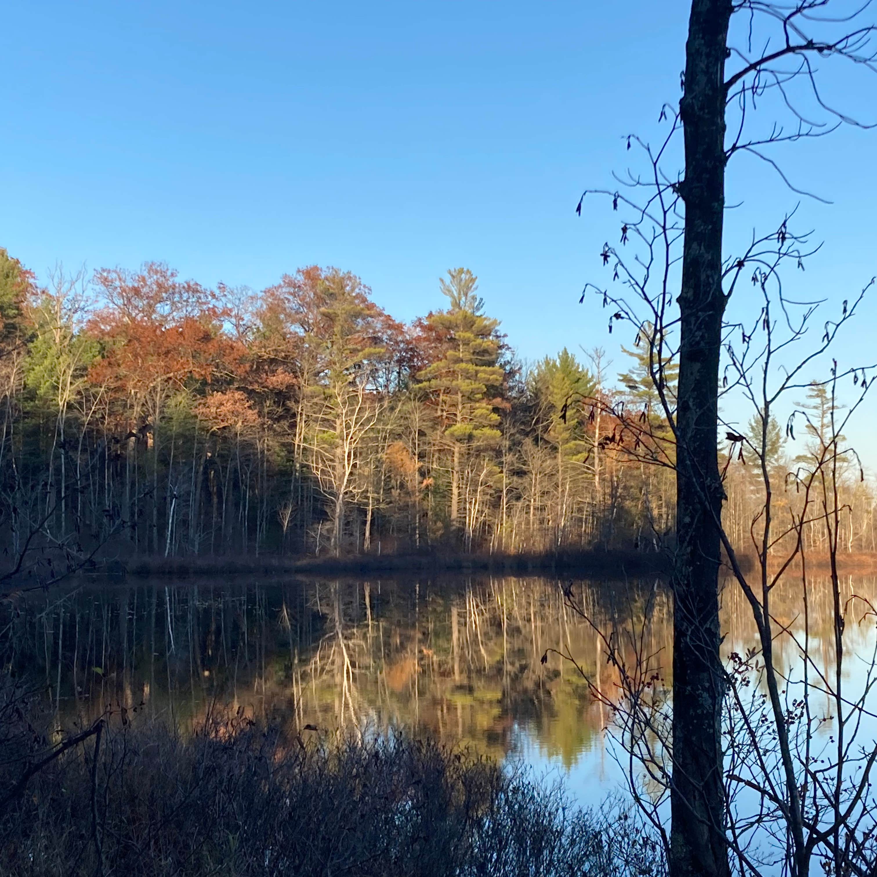 Escape to Serenity: Your Guide to Kentucky's Russell Springs Lake State Park