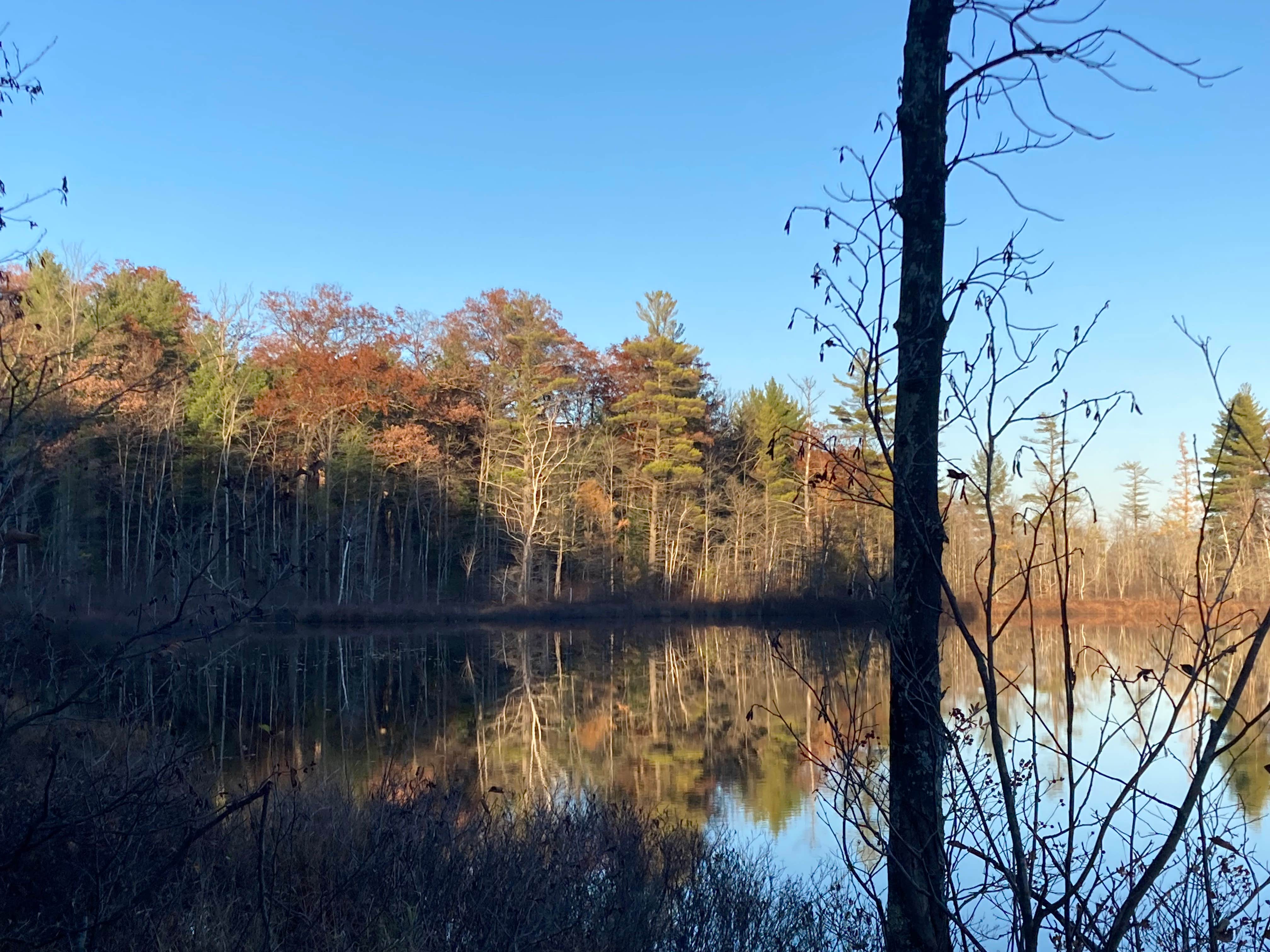 Camper submitted image from Spring Lake State Forest Campground - 3