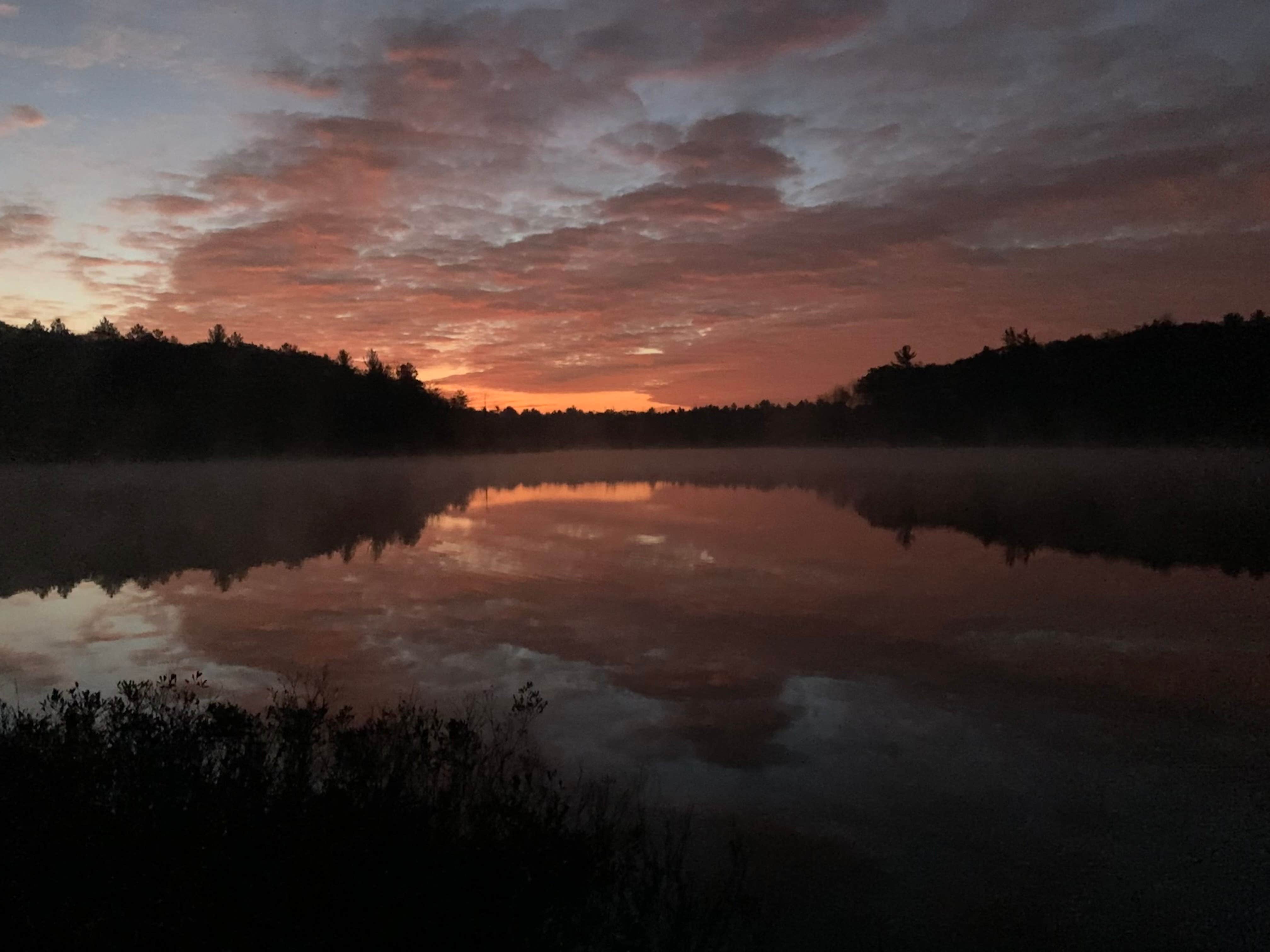 Camper submitted image from Spring Lake State Forest Campground - 1