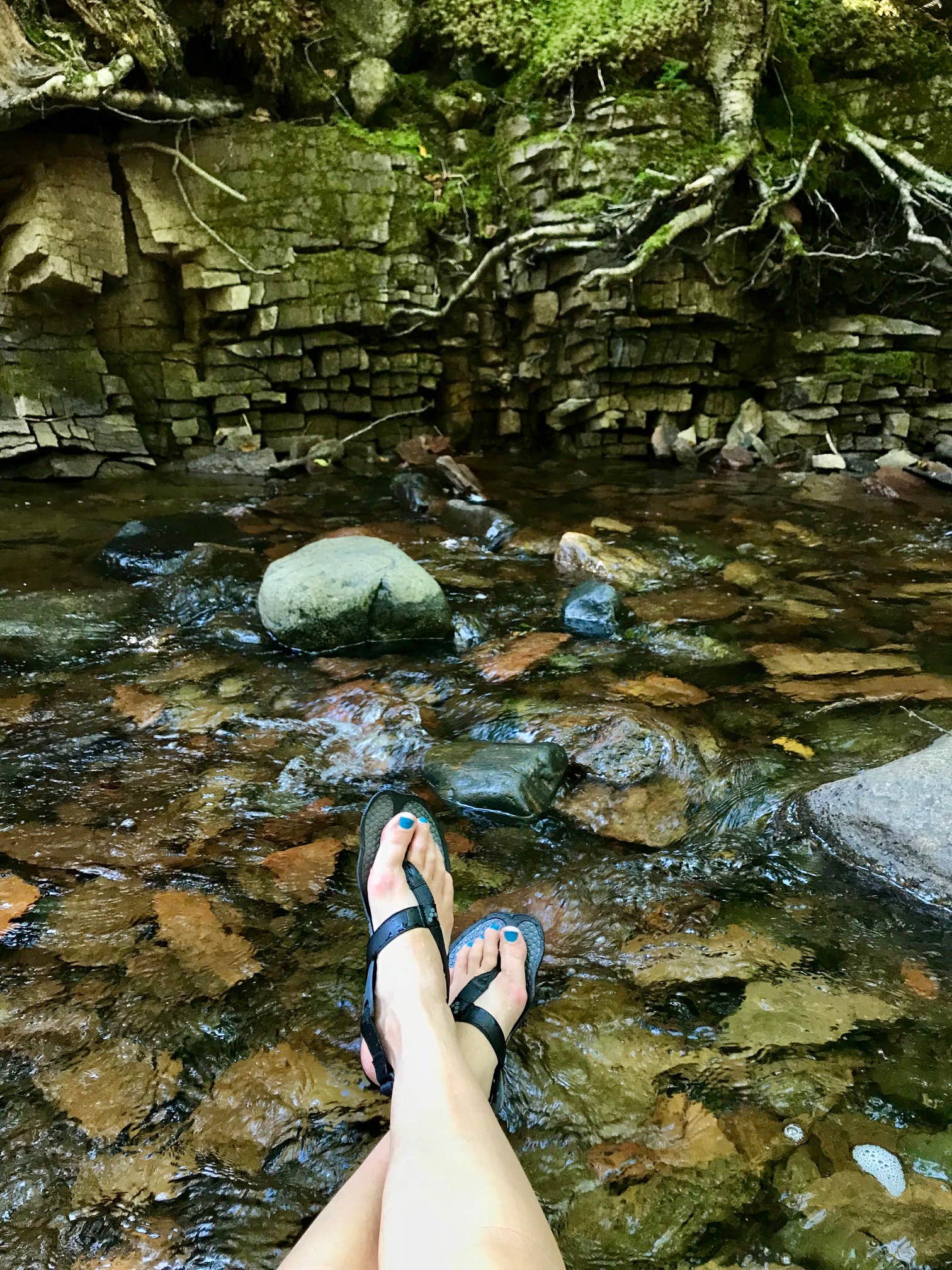 Camper-submitted photo at Kadunce River Camping near Grand Marais, MN