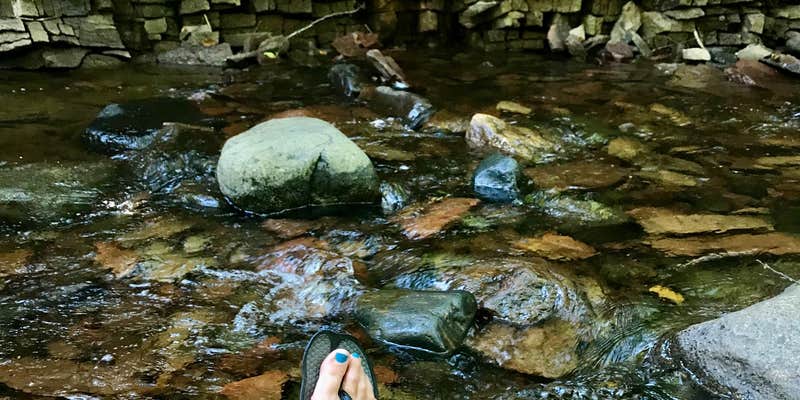 Camper submitted image from Kadunce River Camping