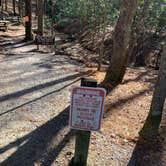 Review photo of Stone Mountain State Park Campground by David B., November 28, 2022