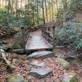 Review photo of Stone Mountain State Park Campground by David B., November 28, 2022