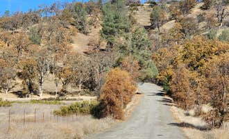 Camping near Kelsey Creek Campground — Clear Lake State Park: Lakeview Dispersed Campground, Nice, California