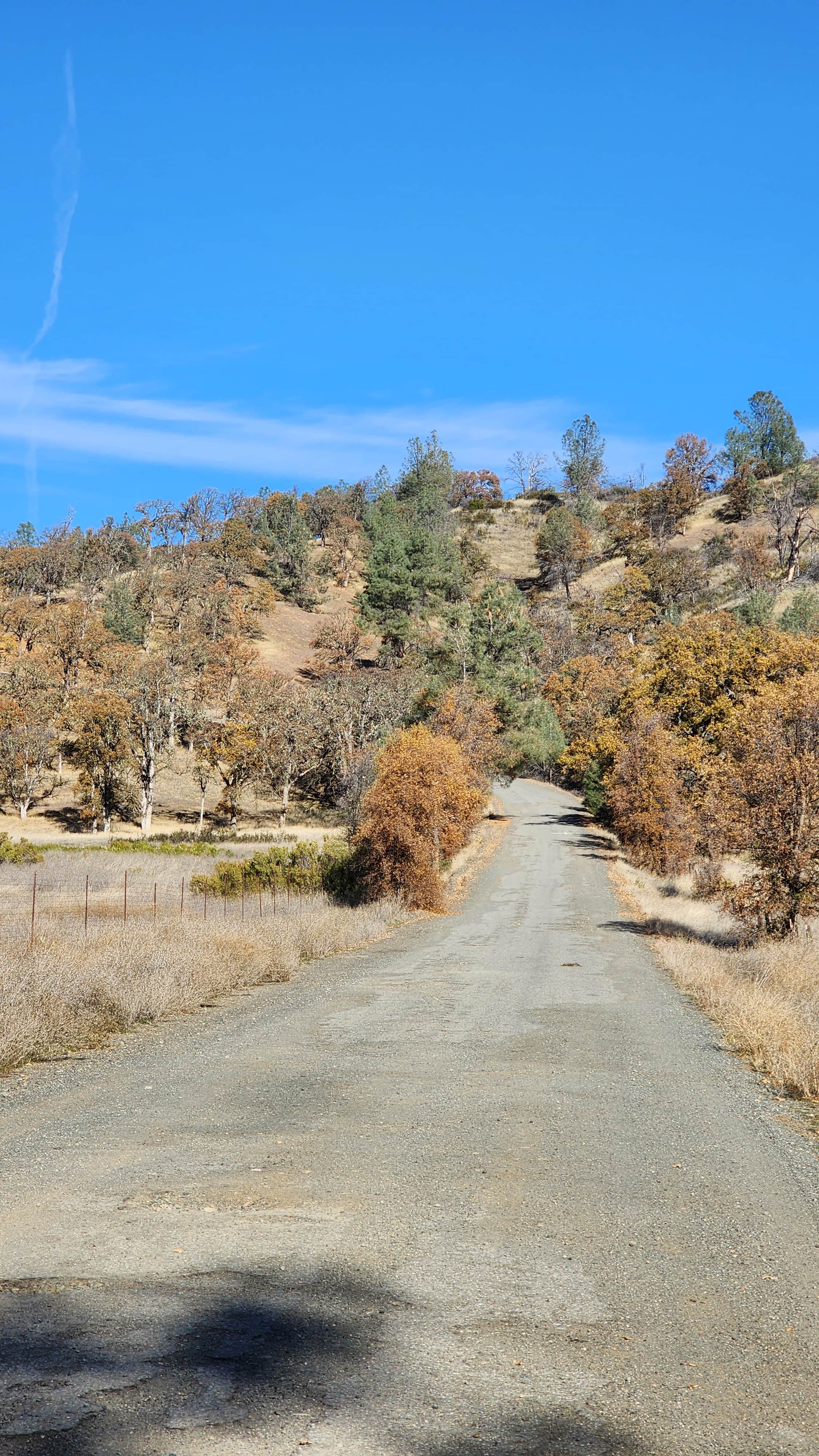 Camper submitted image from Lakeview Dispersed Campground - 5