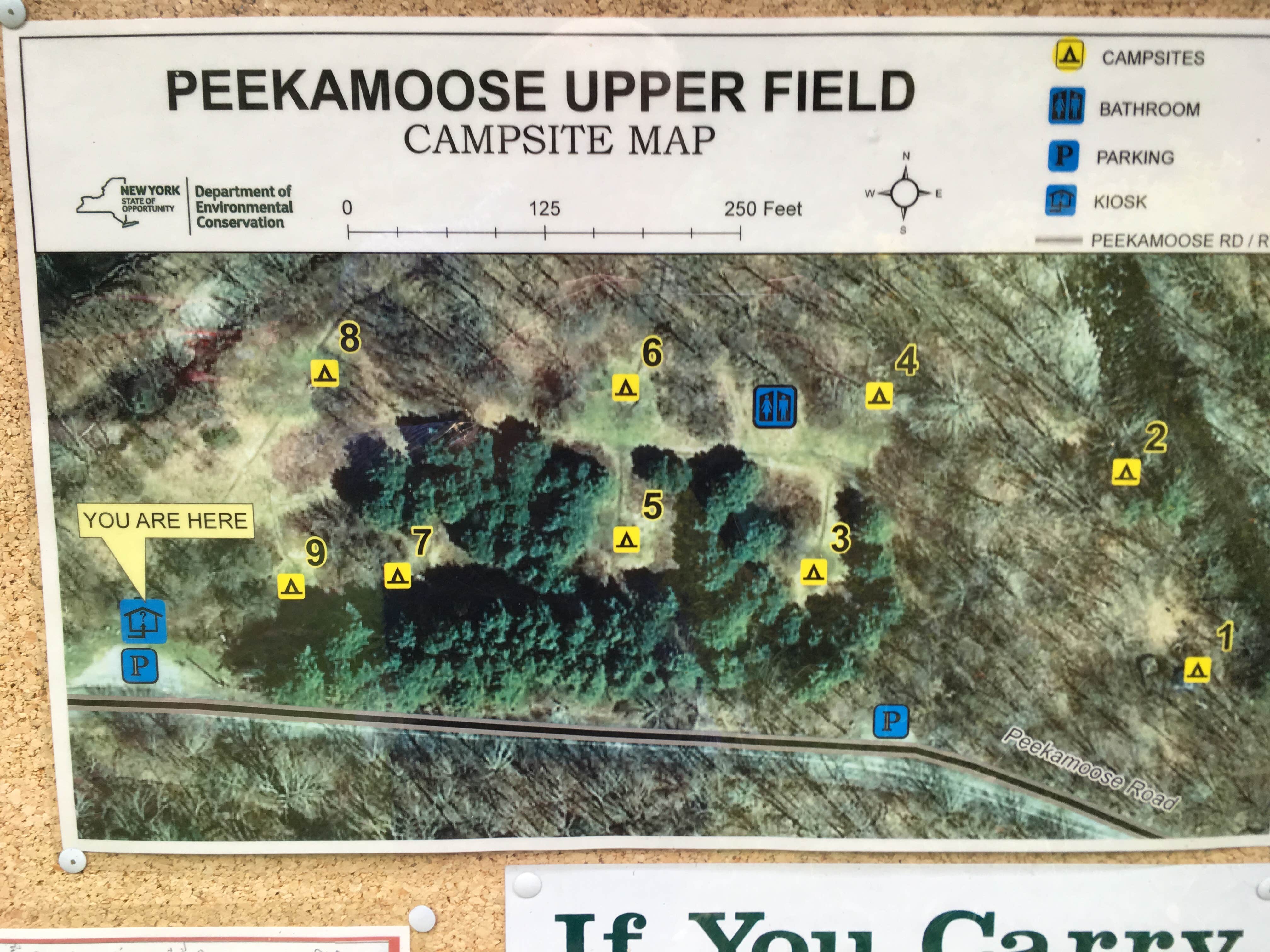 Camper-submitted photo at The Peekamoose Valley near Gilboa, NY