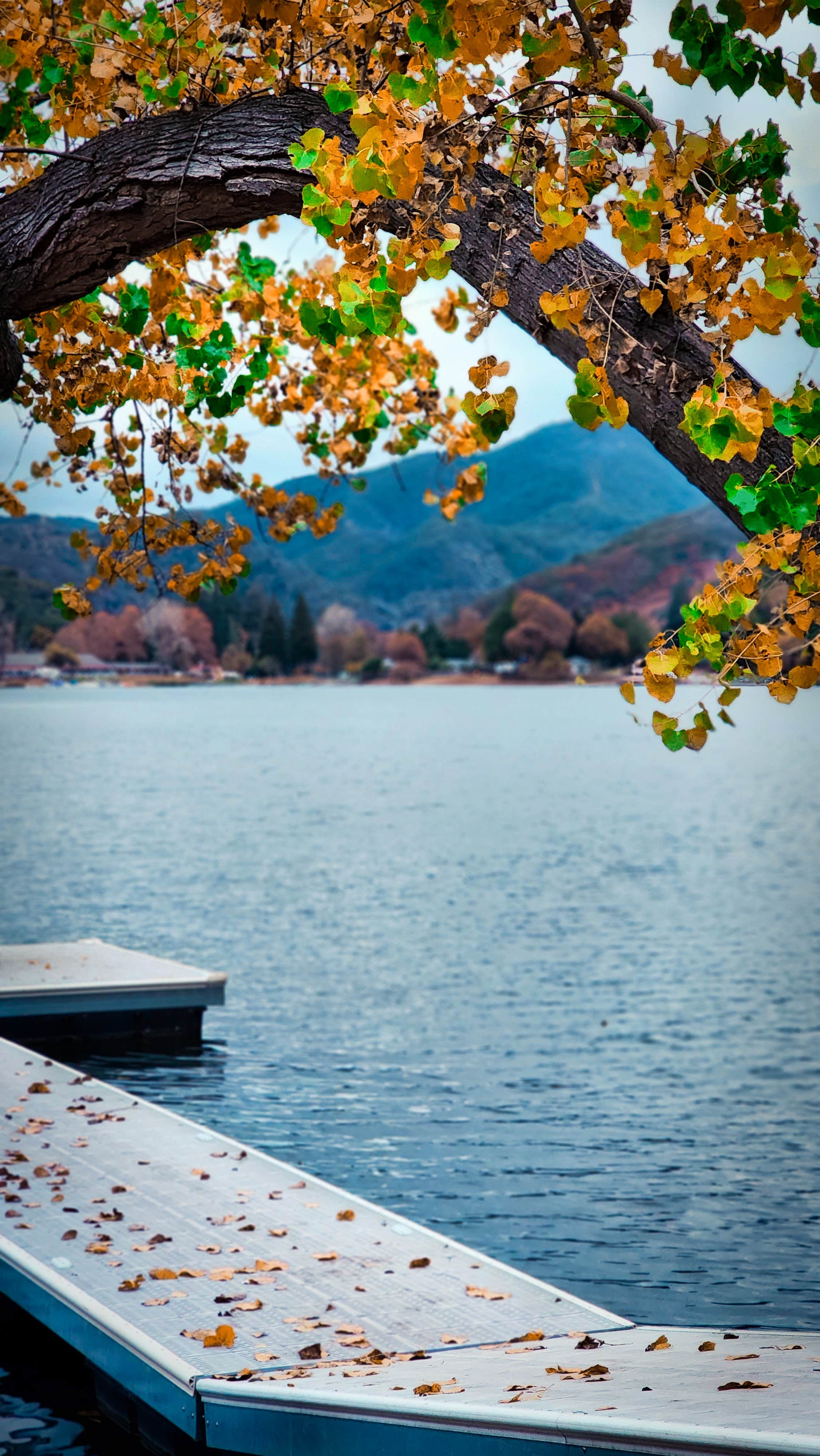 Camper-submitted photo at Narrows Lodge Resort near Lakeport, CA