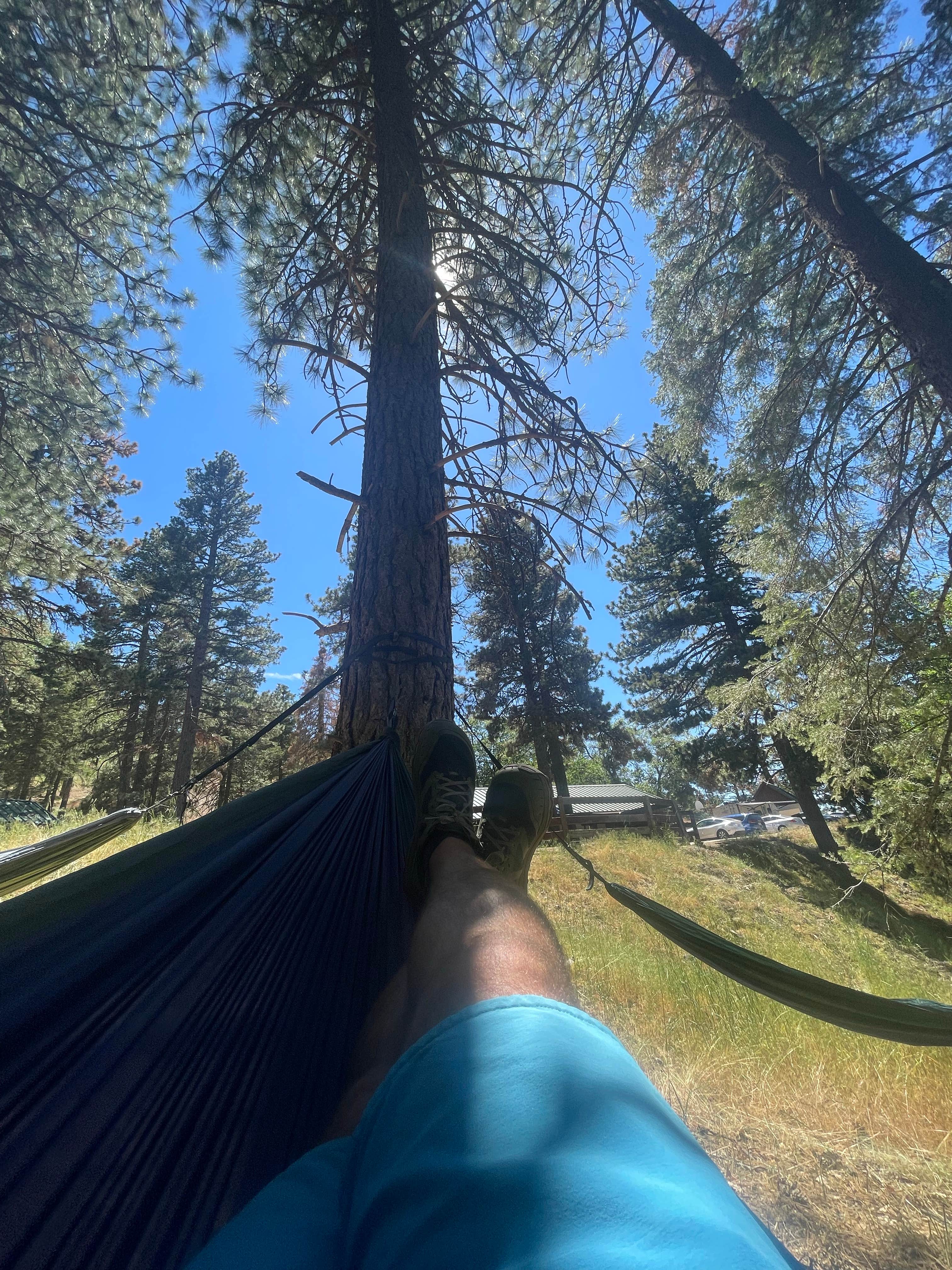 Camper submitted image from Tehachapi Mountain Park - 3