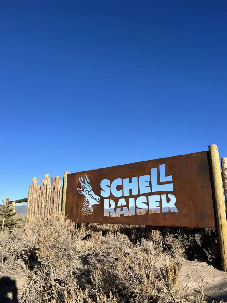 Camper-submitted photo at Schellraiser near Ely, NV