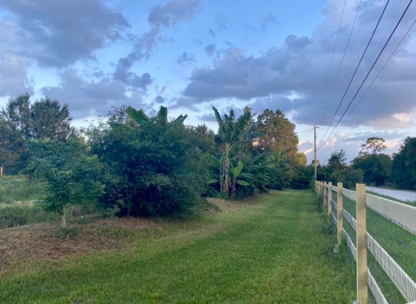 Camper-submitted photo at NOFO GROVES Getaway near Bokeelia, FL