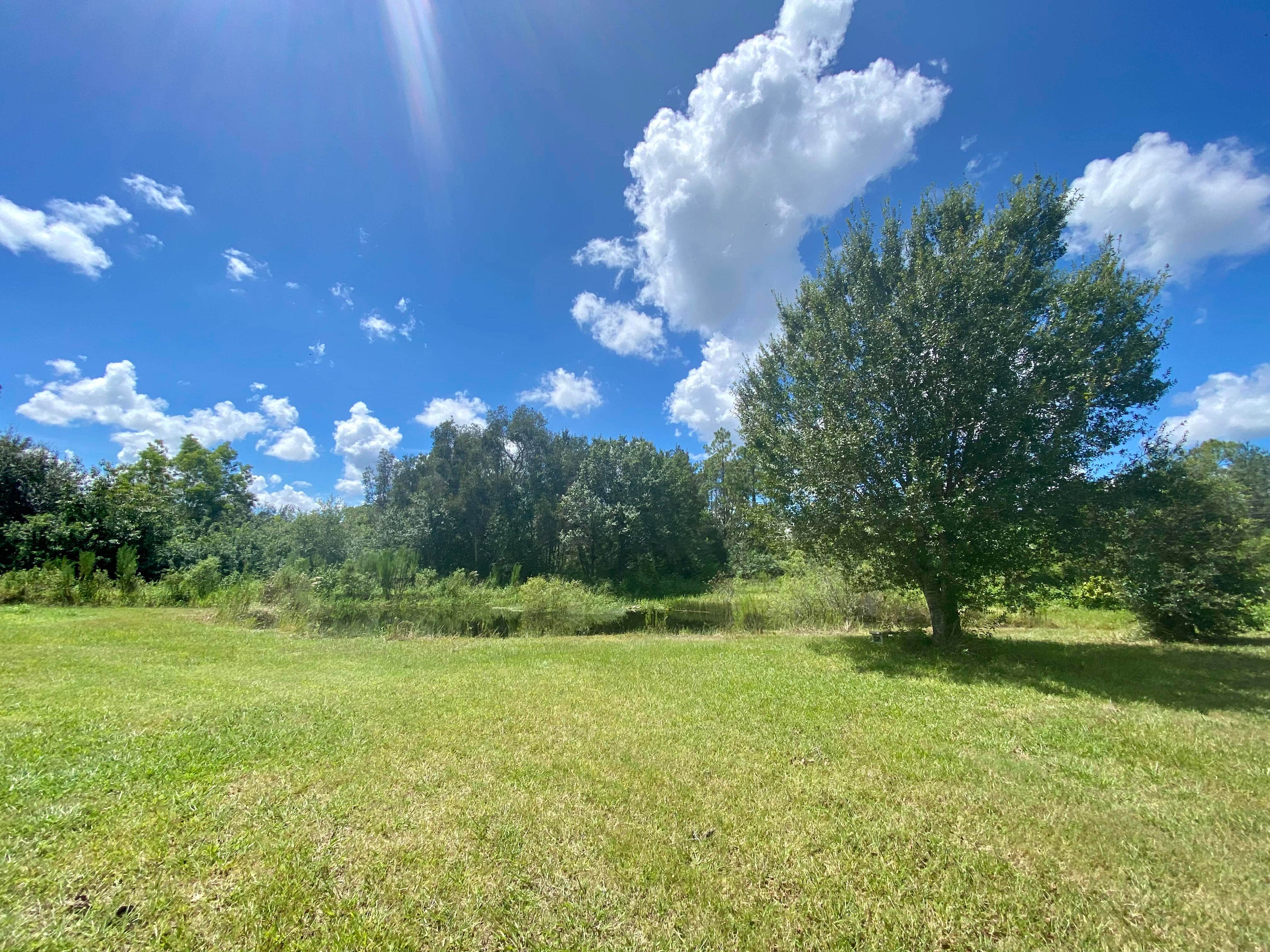 Camper-submitted photo at NOFO GROVES Getaway near Alva, FL