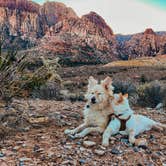 Review photo of Red Rock Canyon National Conservation Area - Red Rock Campground by Heather L., December 1, 2022