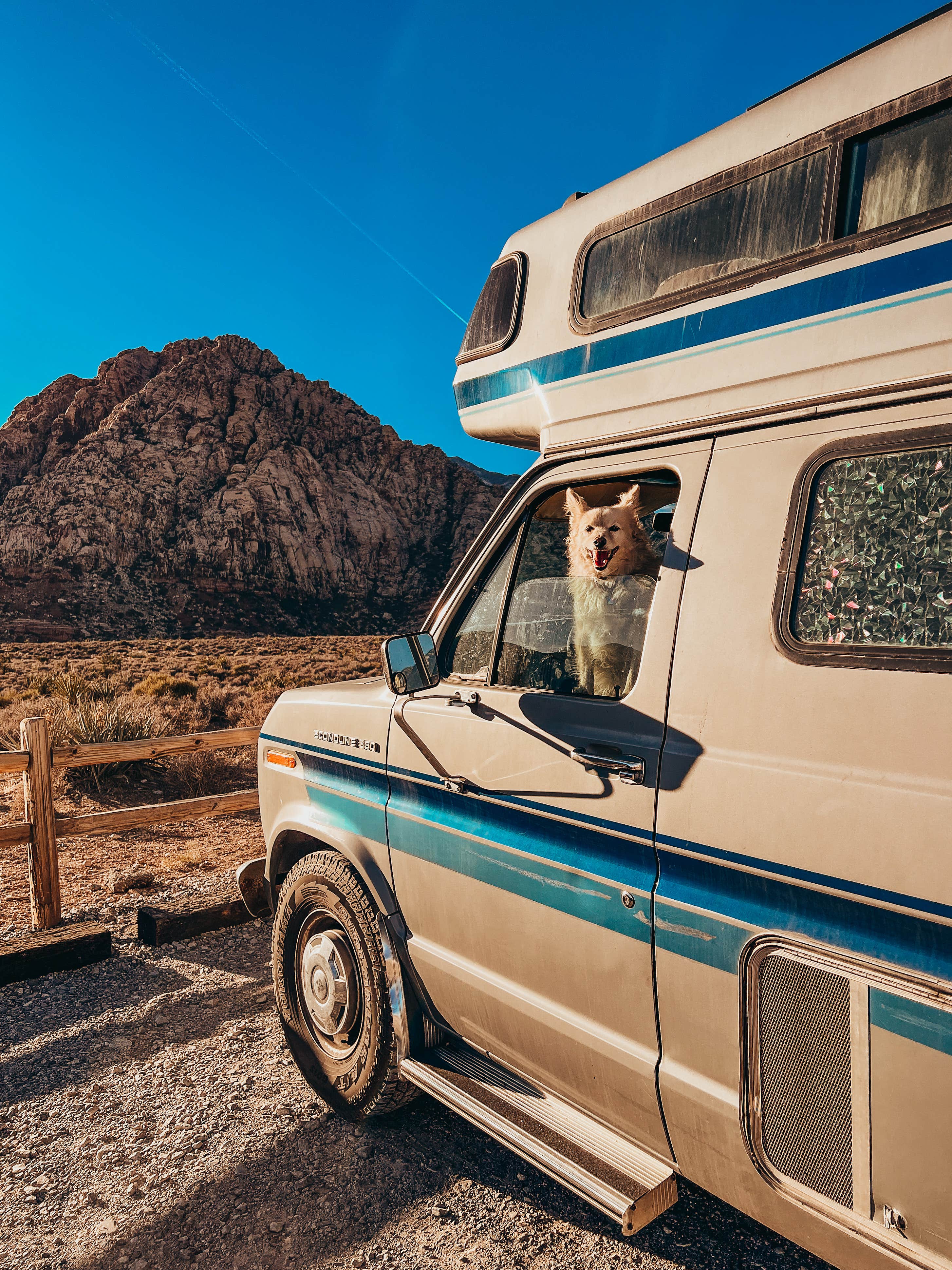 Heather L.'s photo of camping with pets at Red Rock Canyon National Conservation Area - Red Rock Campground near Mount Charleston, NV