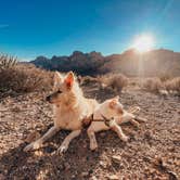 Review photo of Red Rock Canyon National Conservation Area - Red Rock Campground by Heather L., December 1, 2022