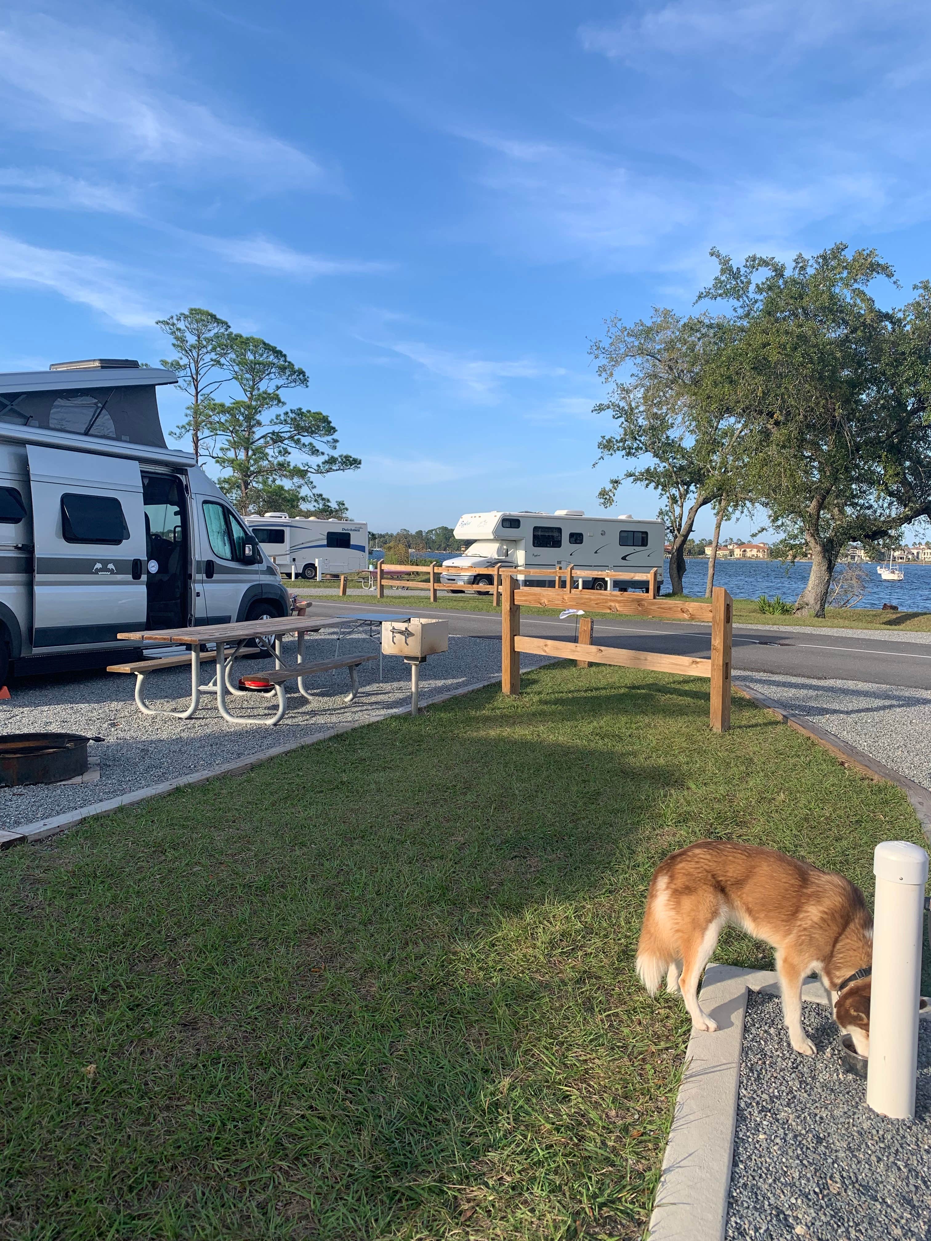 Diana's photo of camping with pets at St. Andrews State Park Campground near Panama City Beach, FL