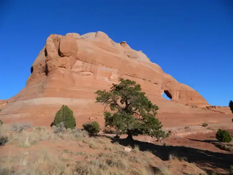 Camper-submitted photo at Adventure Haven RV near La Sal, UT