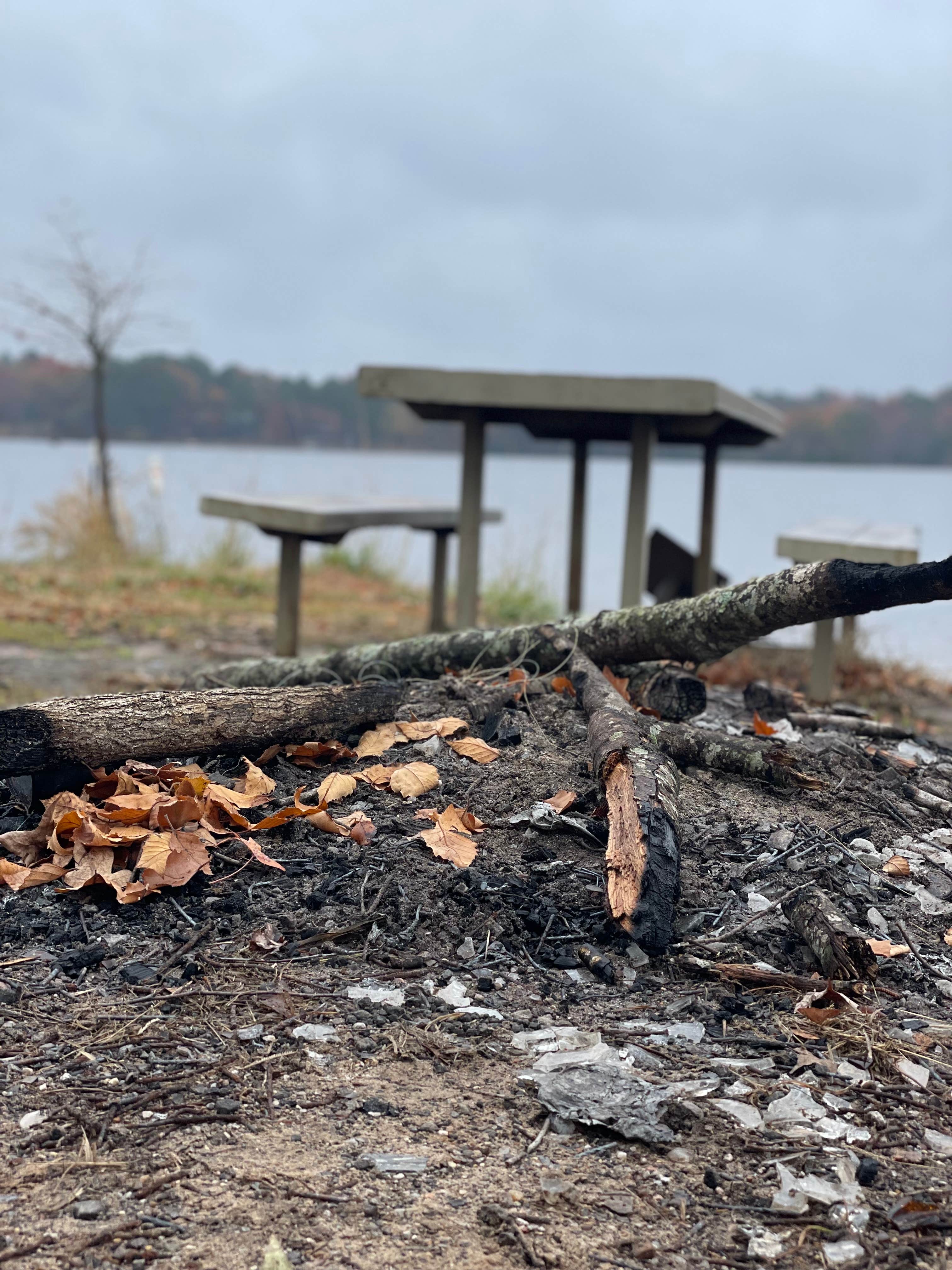 Camper submitted image from Lake Holbrook Park - South - 2
