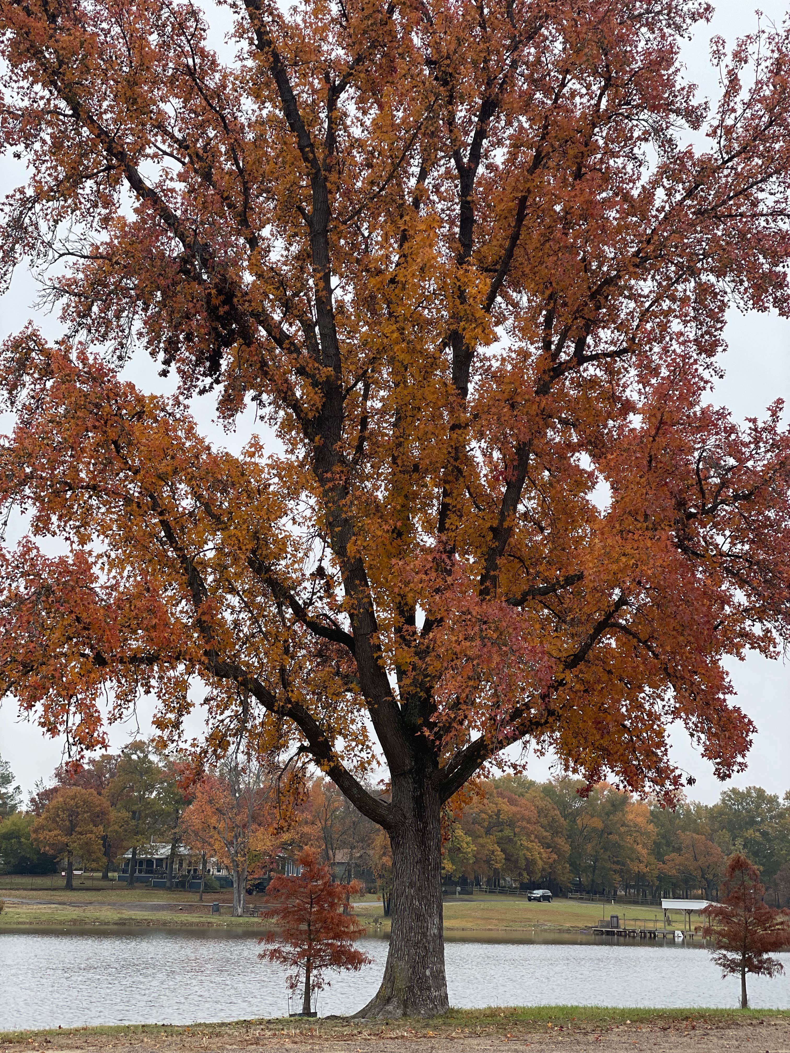 Camper submitted image from Lake Holbrook Park - South - 2