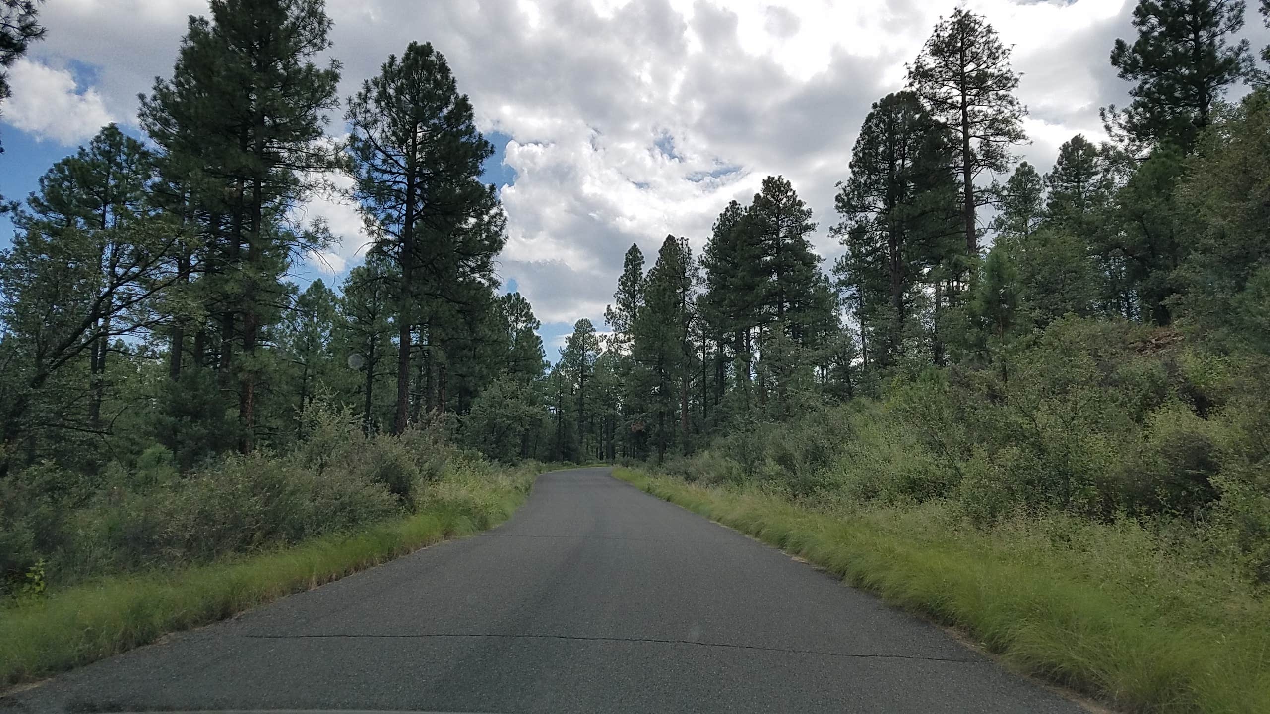 Camper submitted image from Eagle Ridge Group Campground - 3