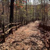 Review photo of Providence Canyon State Park Campground by Diana , December 2, 2022