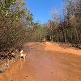 Review photo of Providence Canyon State Park Campground by Diana , December 2, 2022