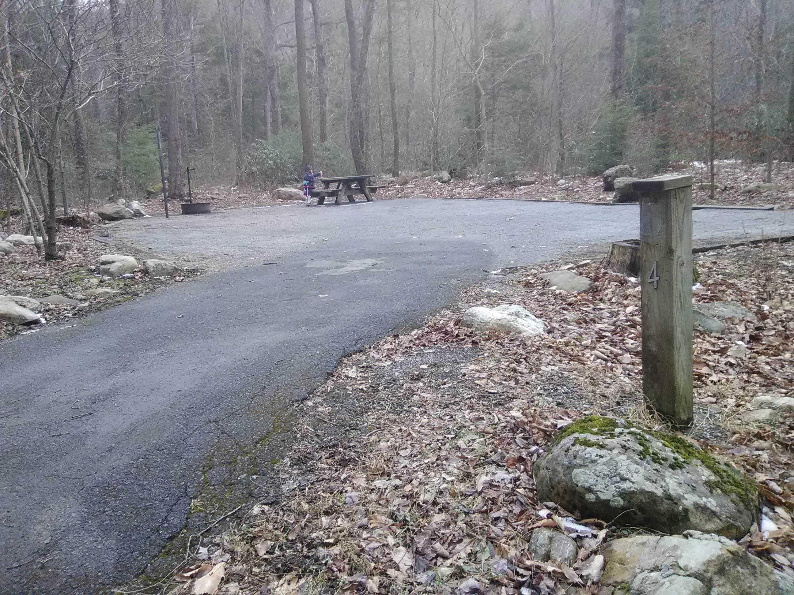 Camper submitted image from Horse Creek Recreation Area - 2
