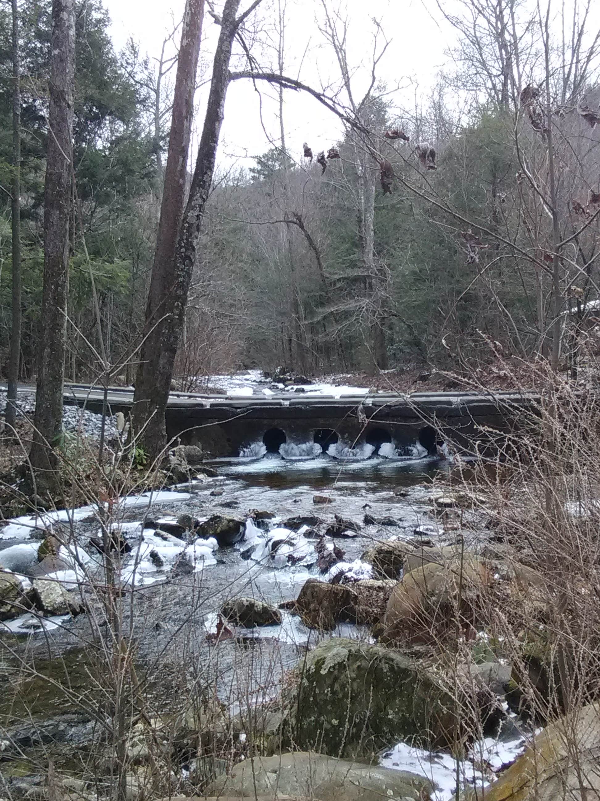Water