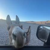 Review photo of Kingman Wash — Lake Mead National Recreation Area by Tanner H., December 2, 2022