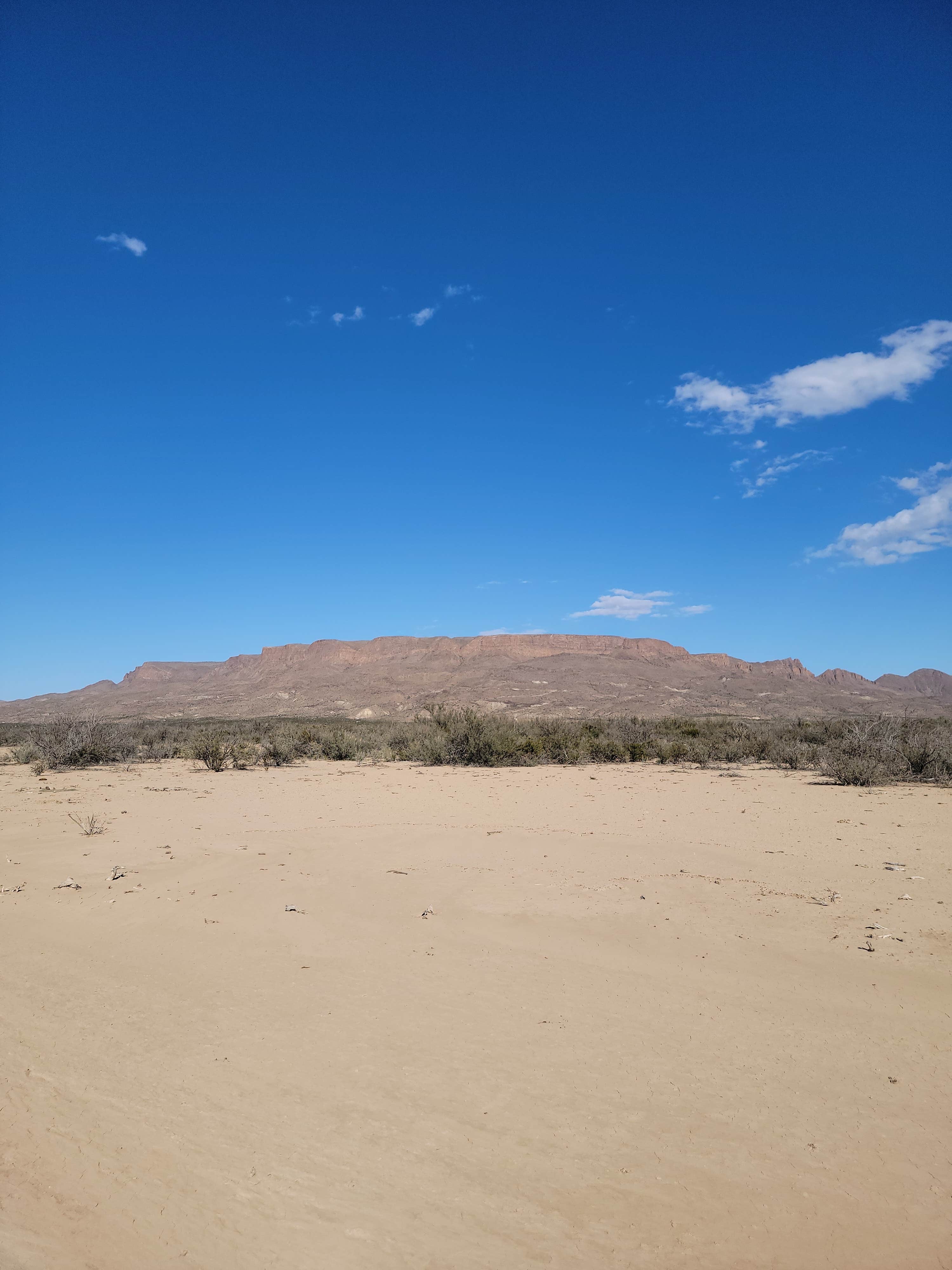 Camper-submitted photo at Red Bluff at Terlingua Ranch near Big Bend National Park