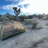 Review photo of Jumbo Rocks Campground — Joshua Tree National Park by Jay H., December 3, 2022