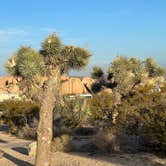 Review photo of Jumbo Rocks Campground — Joshua Tree National Park by Jay H., December 3, 2022