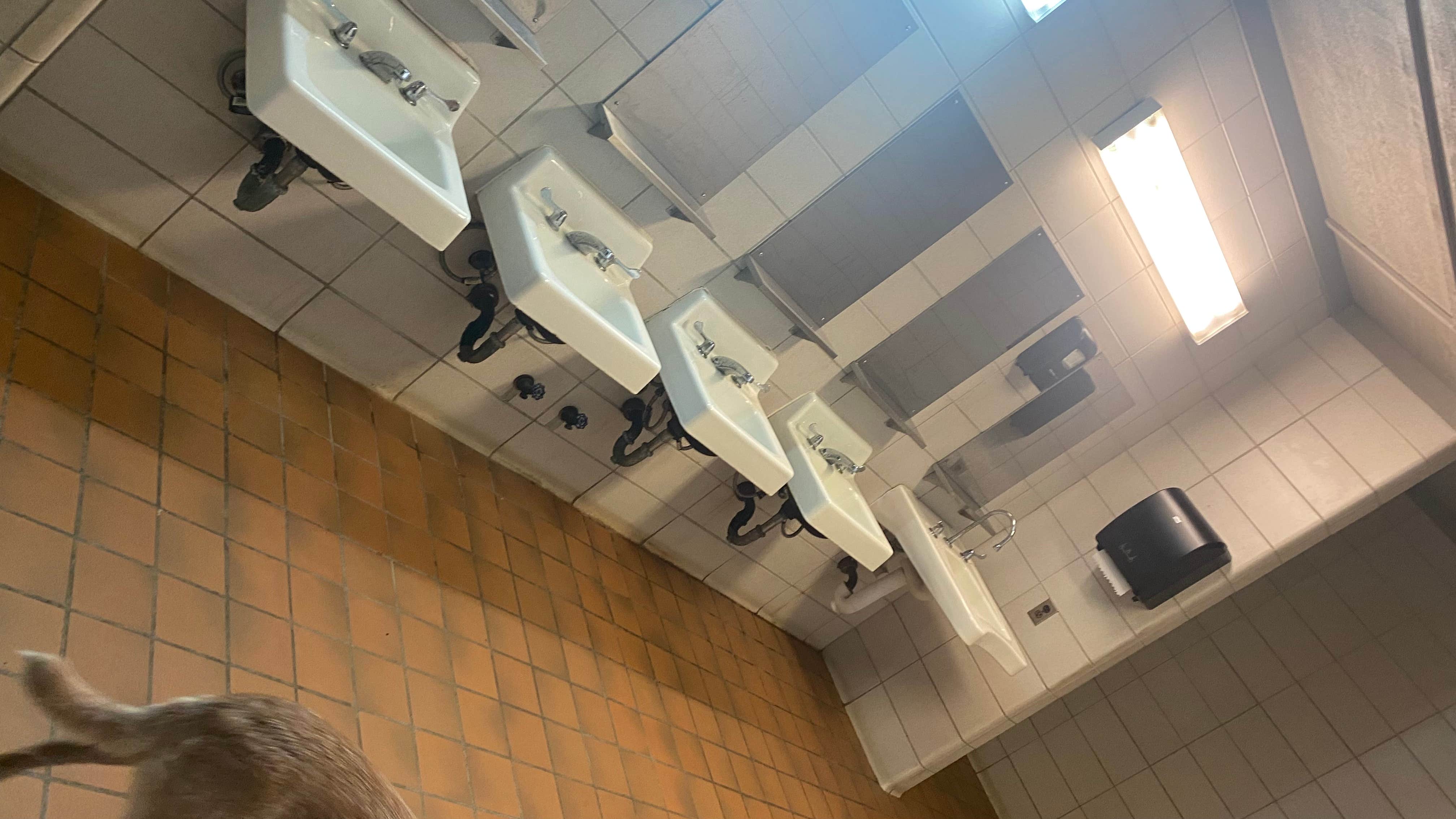 Shelly S.'s photo of camping with pets at Gunter Hill Campground near Marbury, AL