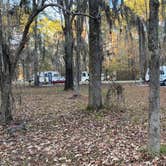 Review photo of Gunter Hill Campground by Shelly S., December 3, 2022