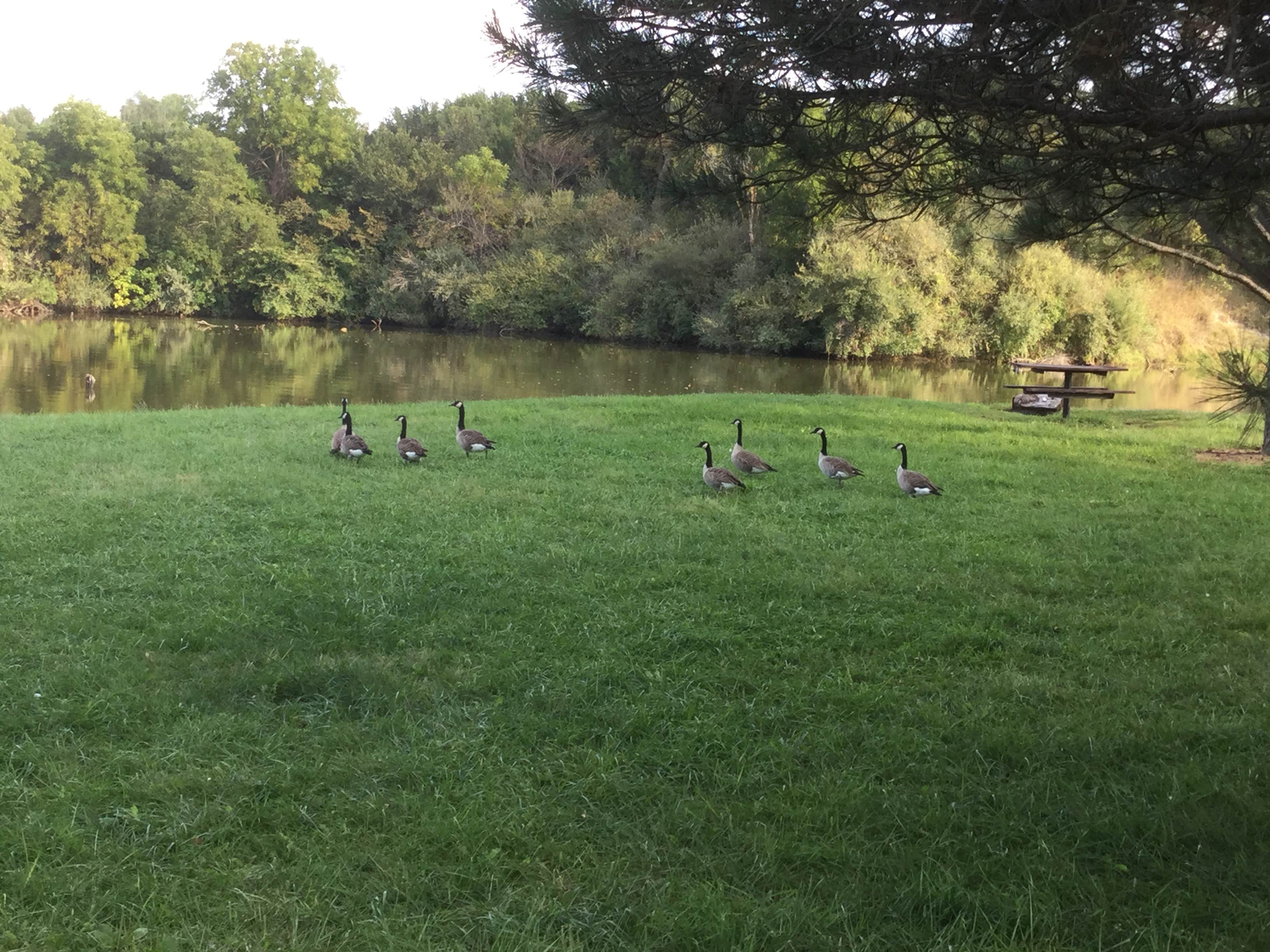 Nature