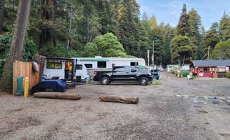 Raven P.'s photo at Anchor Bay Campground near Point Arena, CA