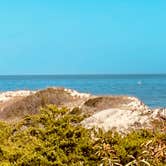 Review photo of Cape Henlopen State Park Campground by Shelley C., December 3, 2022