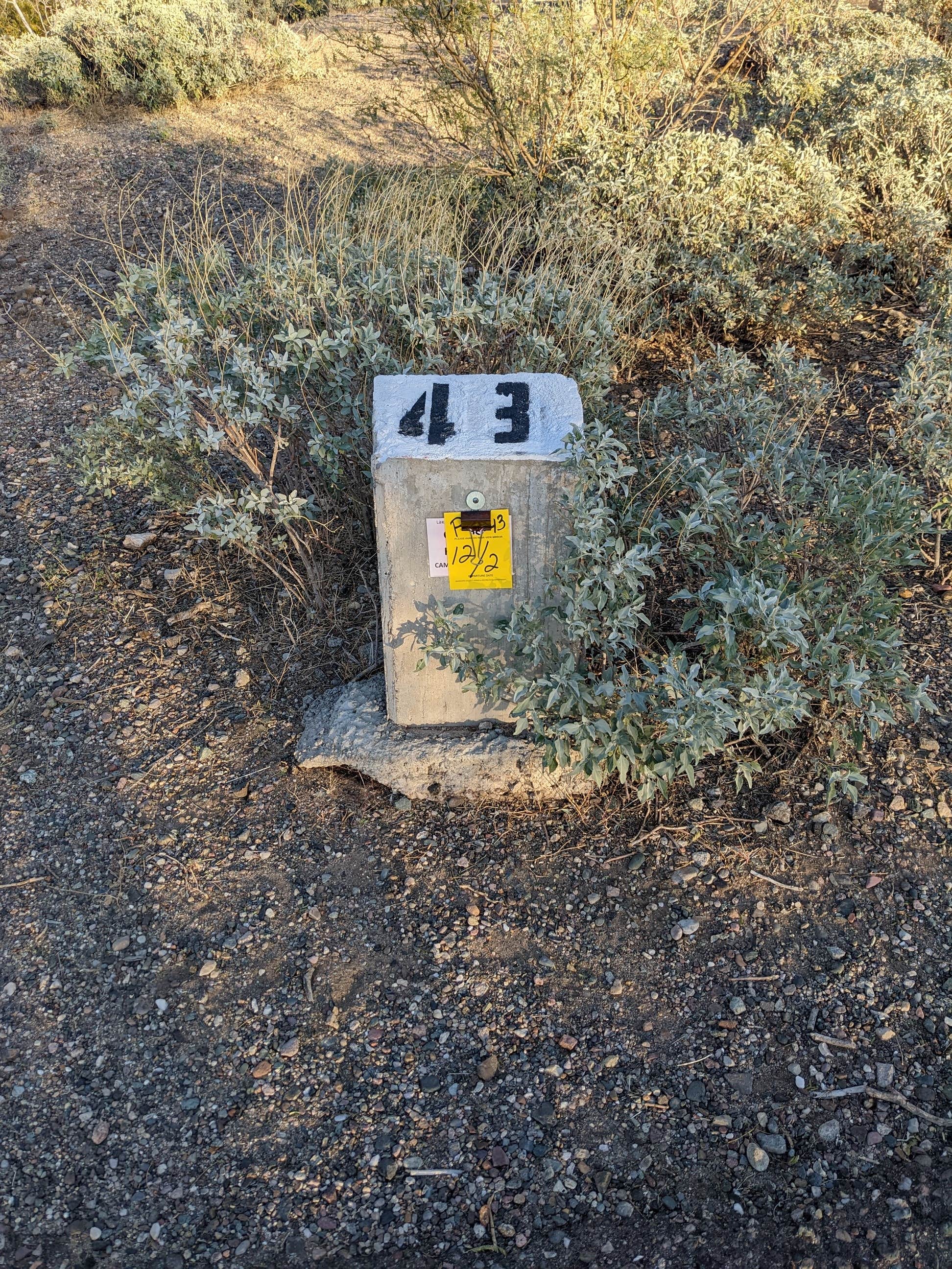 Camper-submitted photo at Roadrunner Campground - Lake Pleasant near Sun City West, AZ