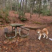 Review photo of Ammons Branch Campground by Diana , December 3, 2022
