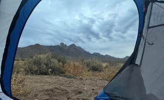 Shelby L.'s photo at Baylor Pass West Trailhead Dispersed near Hatch, NM