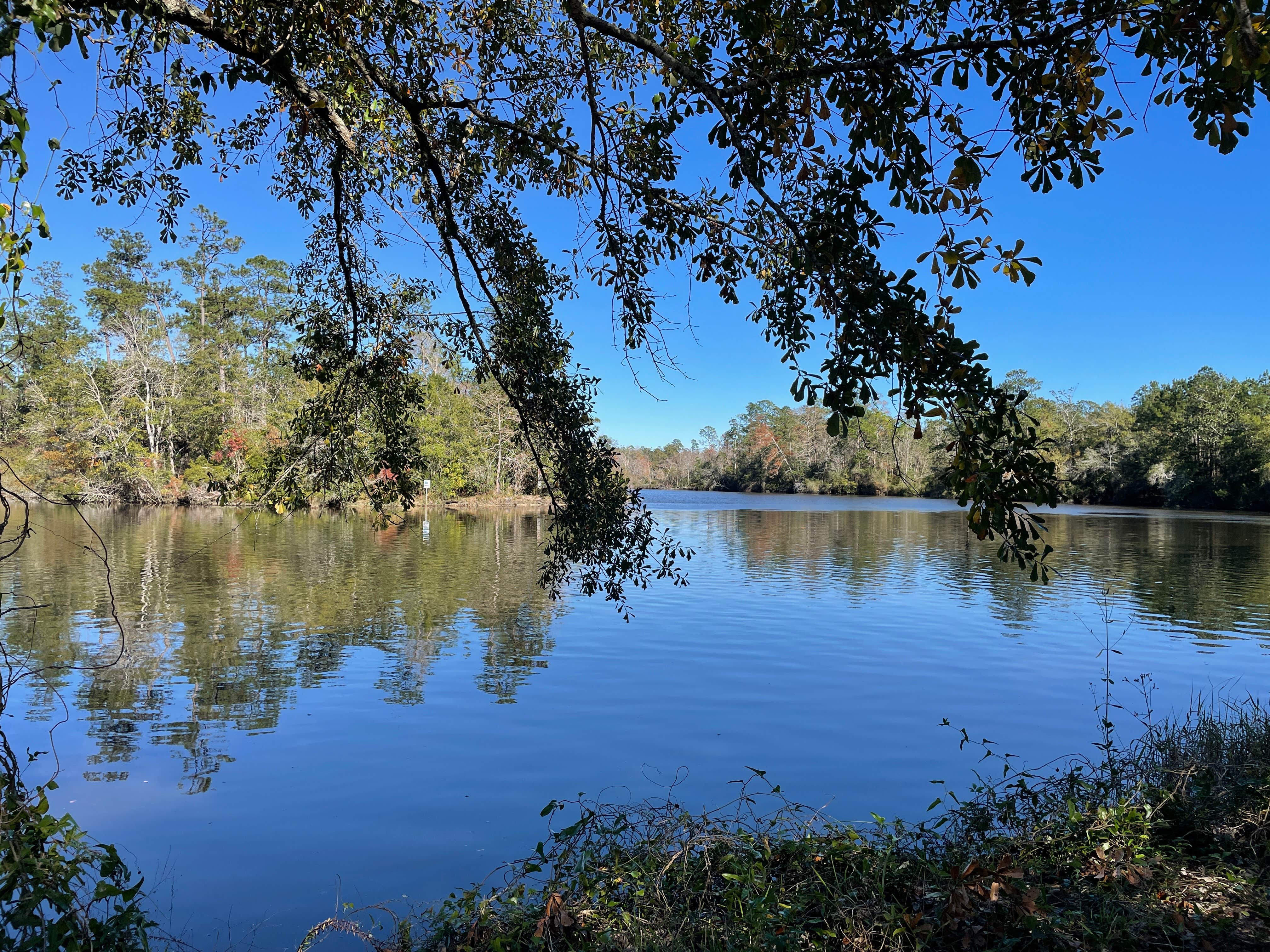 Camper-submitted photo at McLeod Park Campground near Pearl River, LA