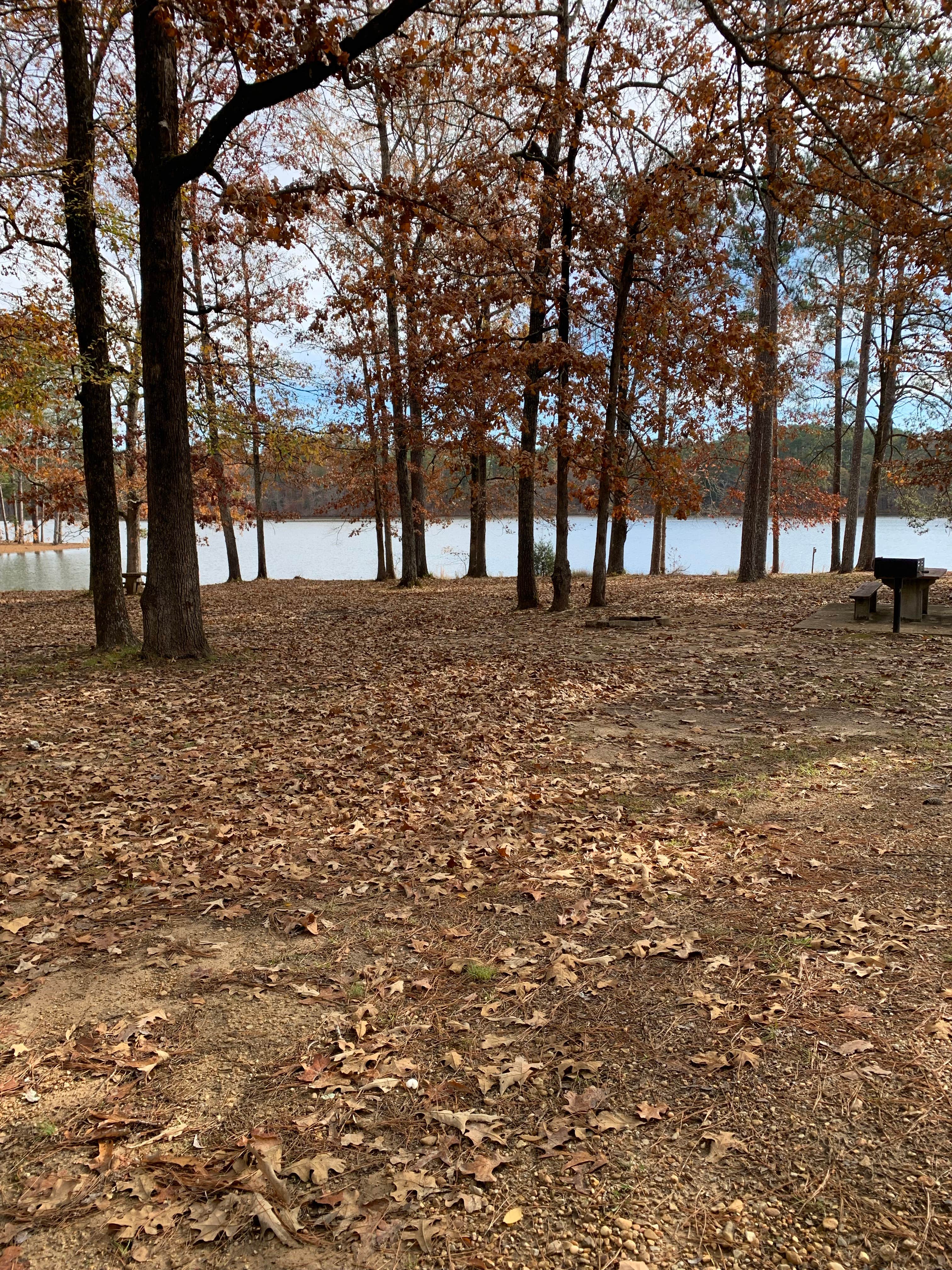 Camper-submitted photo at Lake Lowndes State Park Campground near Columbus, MS