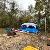 Review photo of Bogue Chitto State Park Campground by Melissa G., December 4, 2022