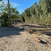 Review photo of Catalina Spa and RV Resort by mary F., December 4, 2022