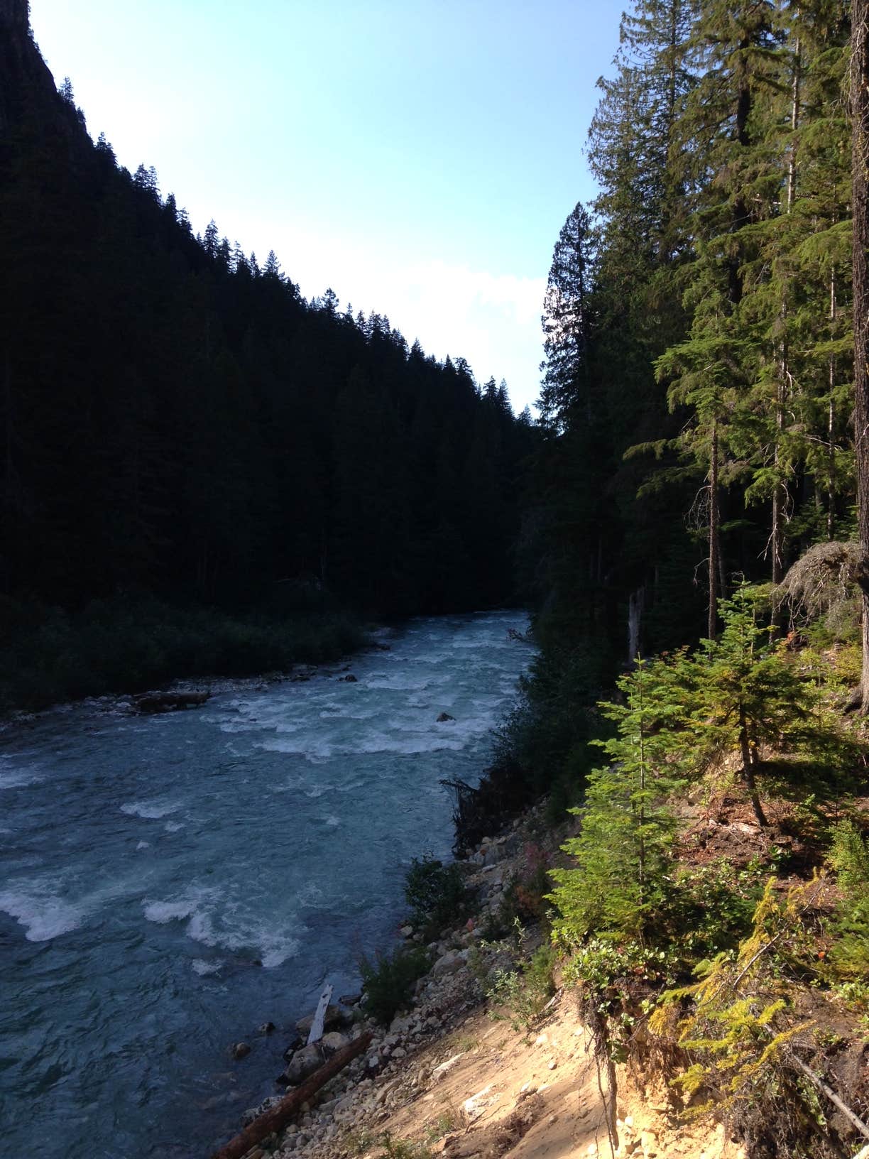 Camper submitted image from Neve Camp — Ross Lake National Recreation Area - 3