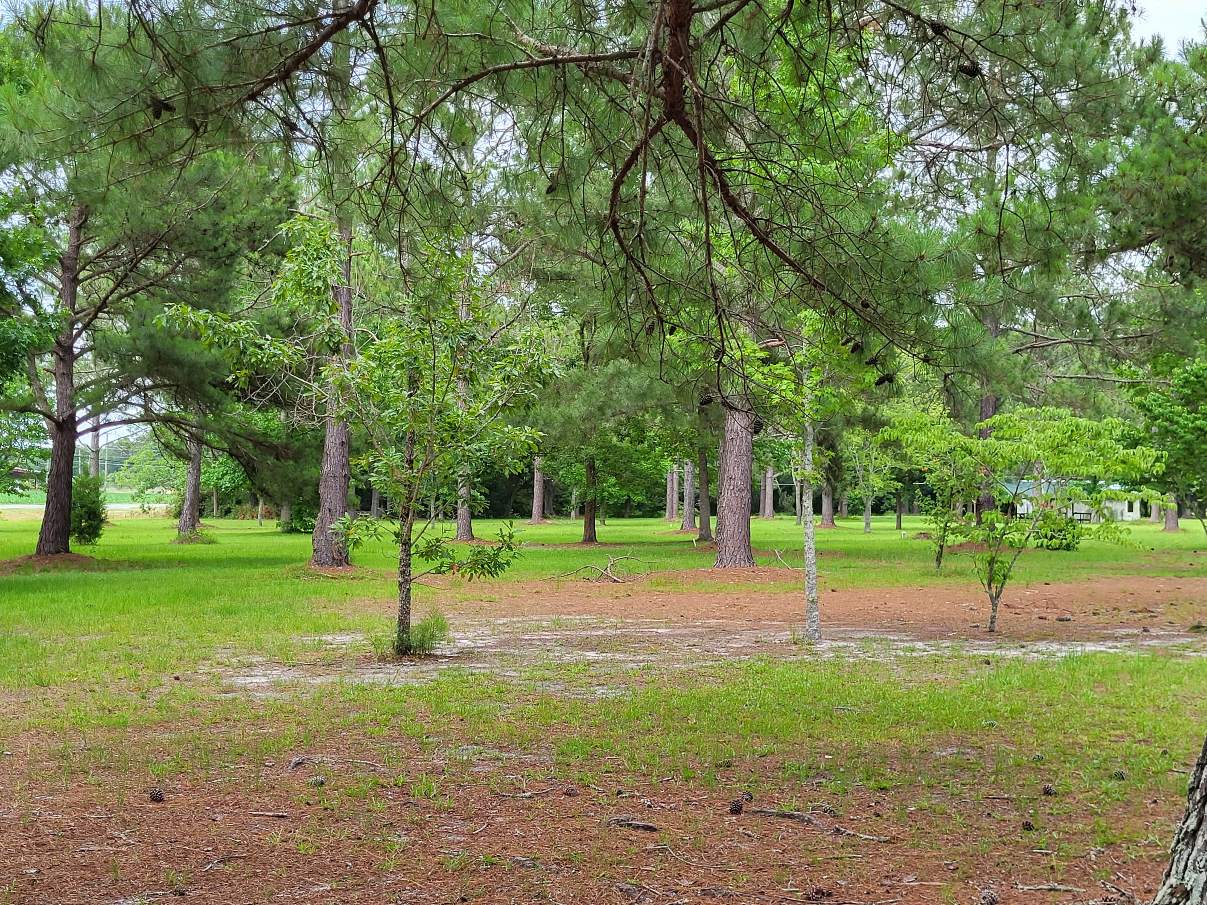 Camper-submitted photo at The Trolley Stop RV Park near Fitzgerald, GA