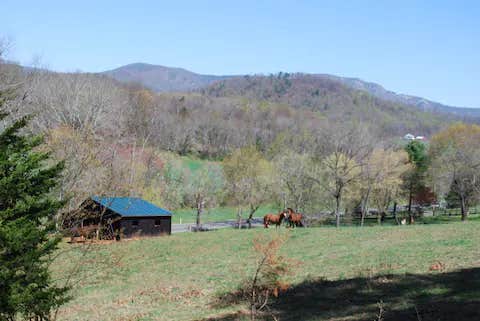 Camper submitted image from Sawmill Cottage near Shenandoah National Park - 1