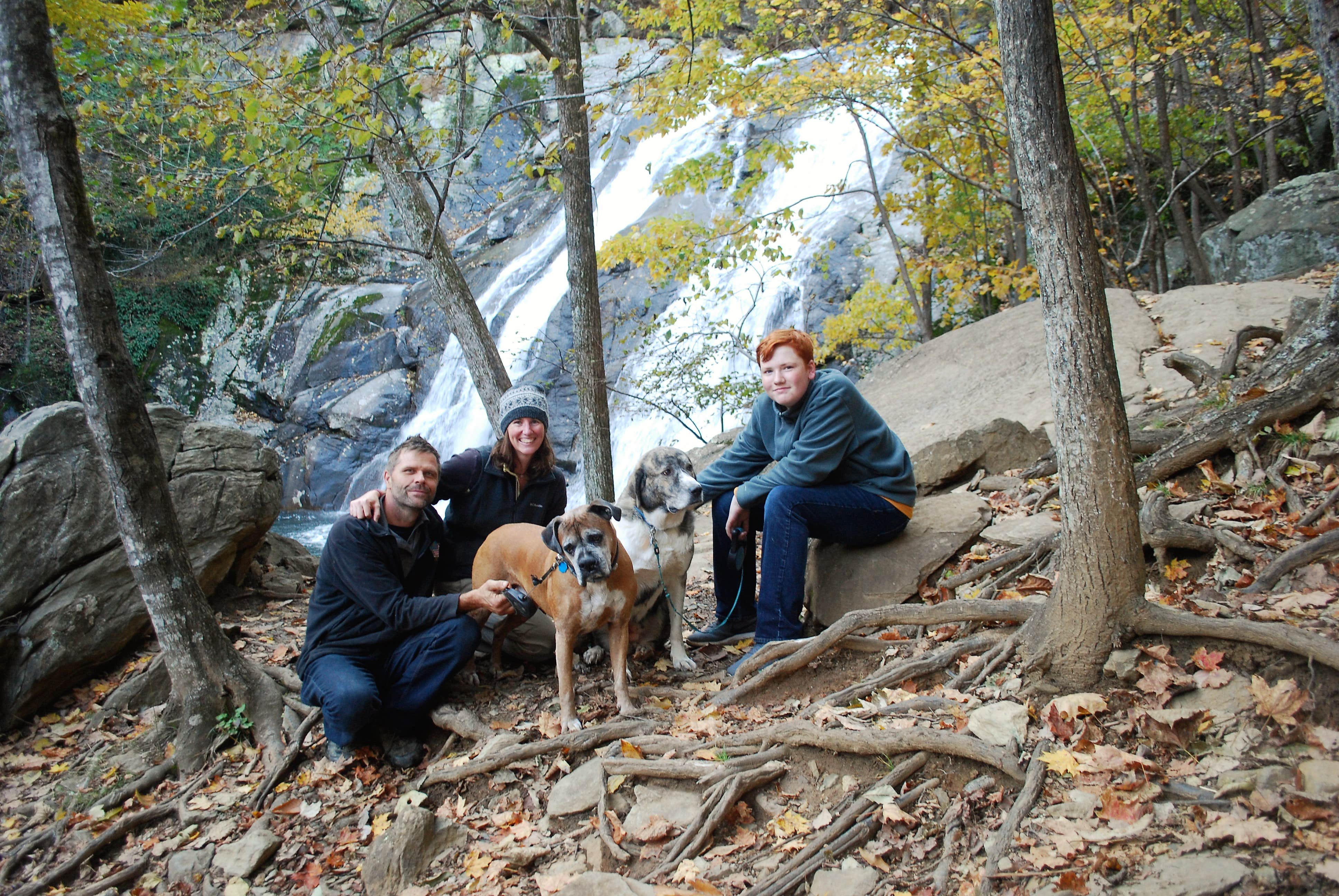 Watercress Inn  A.'s photo of camping with pets at Sawmill Cottage near Shenandoah National Park near Luray, VA