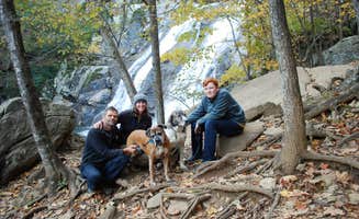 Watercress Inn  A.'s photo of camping with pets at Sawmill Cottage near Shenandoah National Park near Shenandoah, VA